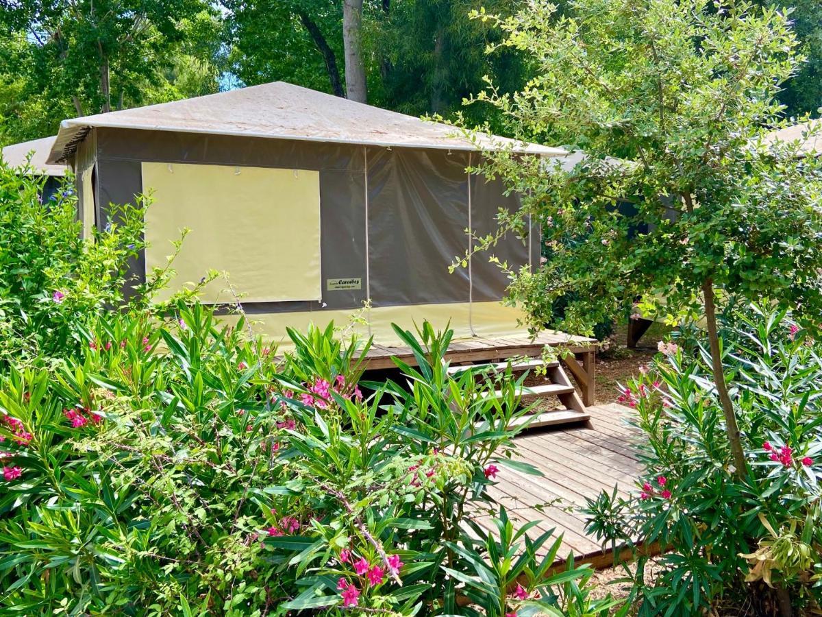 Camping Le Sagone Sagone  Eksteriør bilde